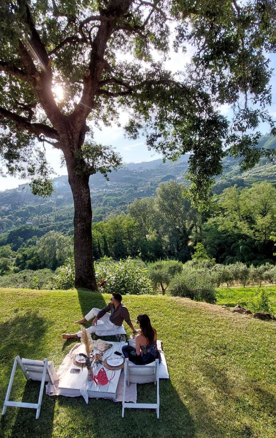 Agriturismo La Forestaria Capannori Eksteriør billede