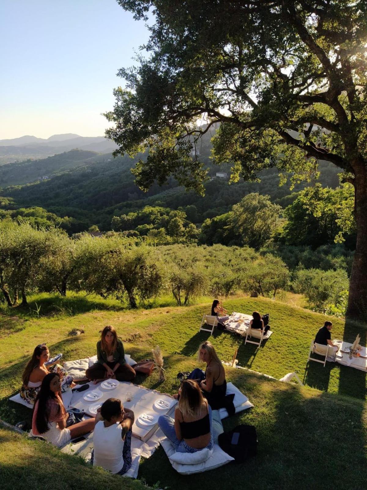 Agriturismo La Forestaria Capannori Eksteriør billede