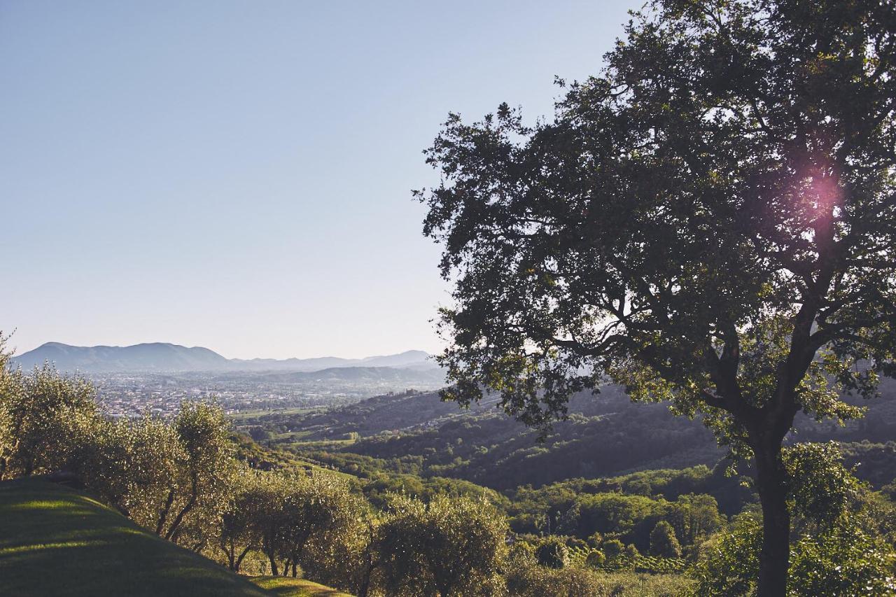 Agriturismo La Forestaria Capannori Eksteriør billede