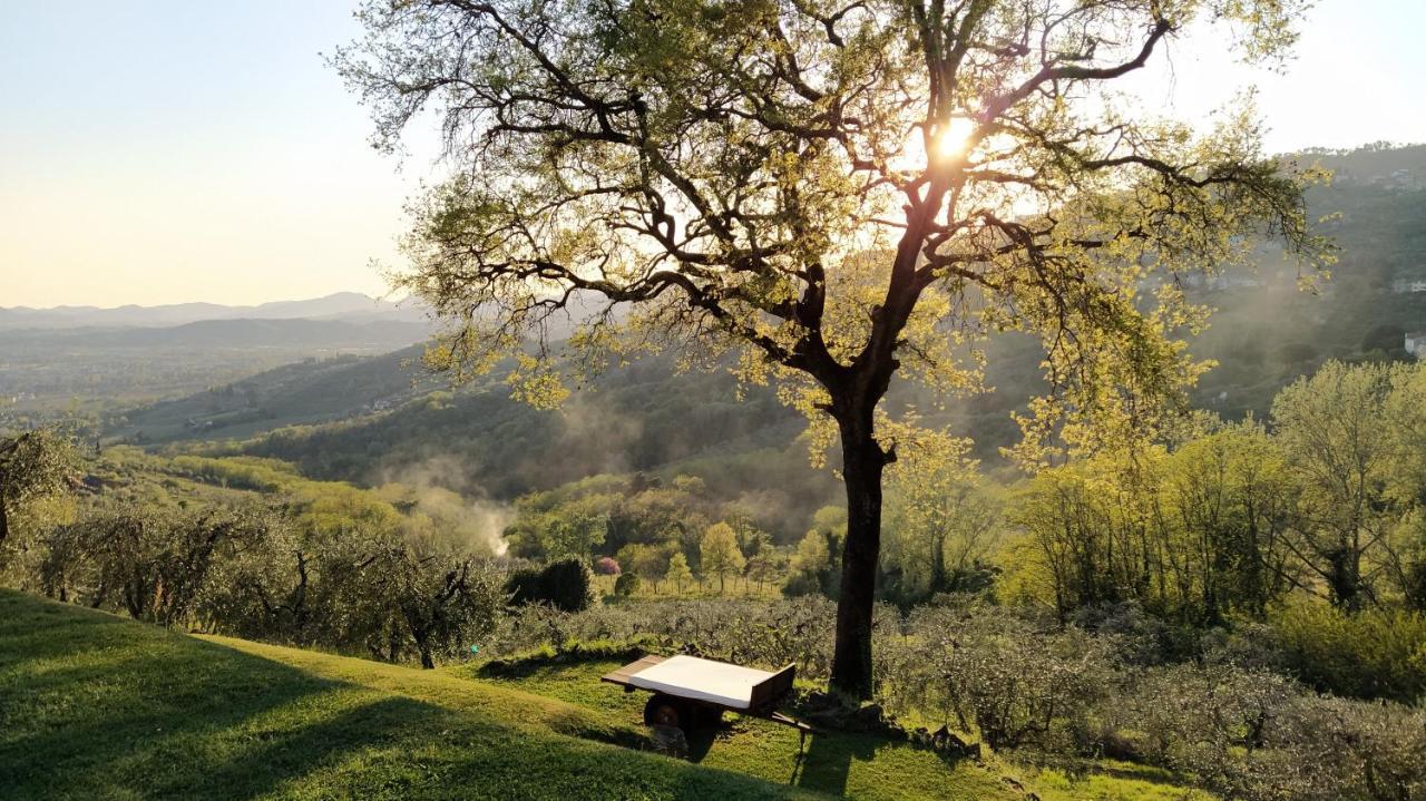 Agriturismo La Forestaria Capannori Eksteriør billede
